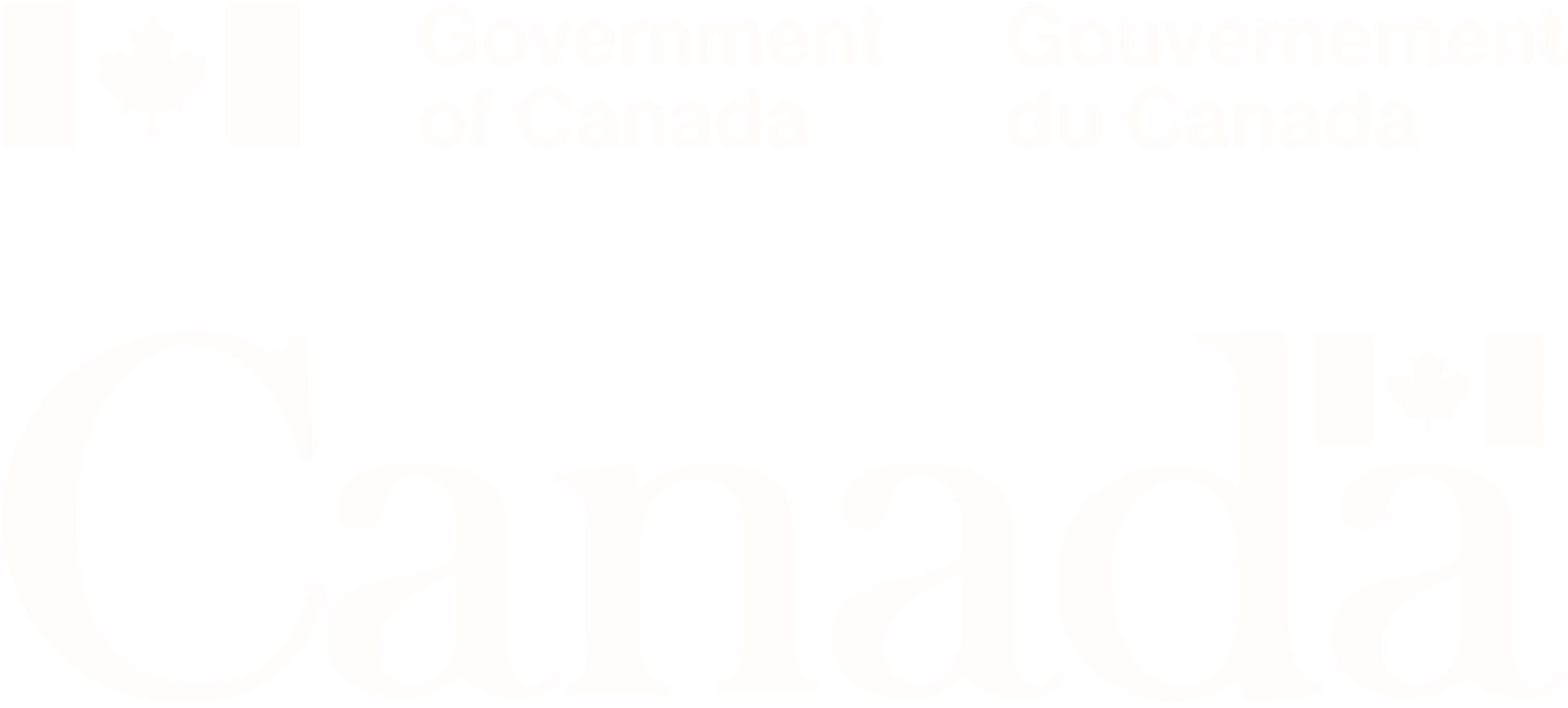 Logo Chaires de recherche du Canada