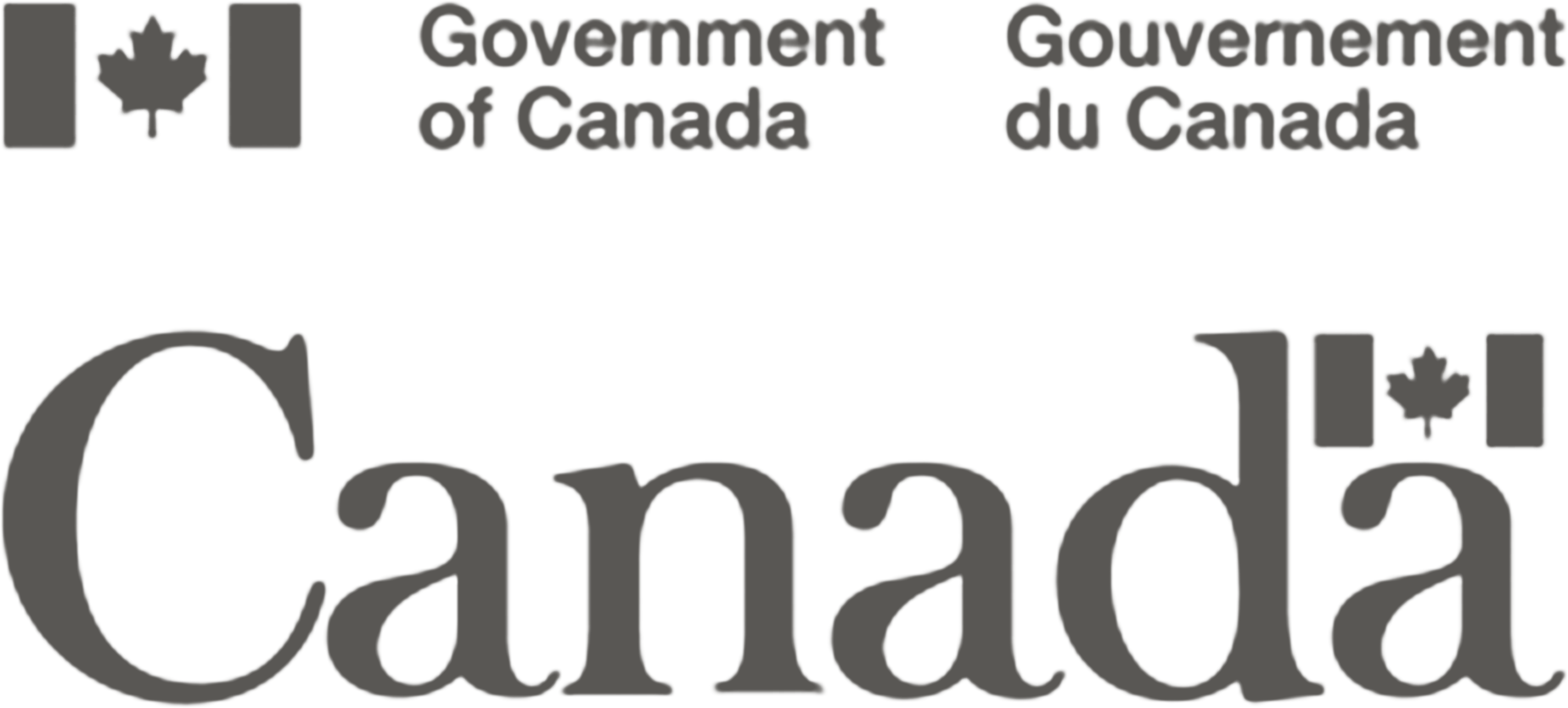 Logo Chaires de recherche du Canada