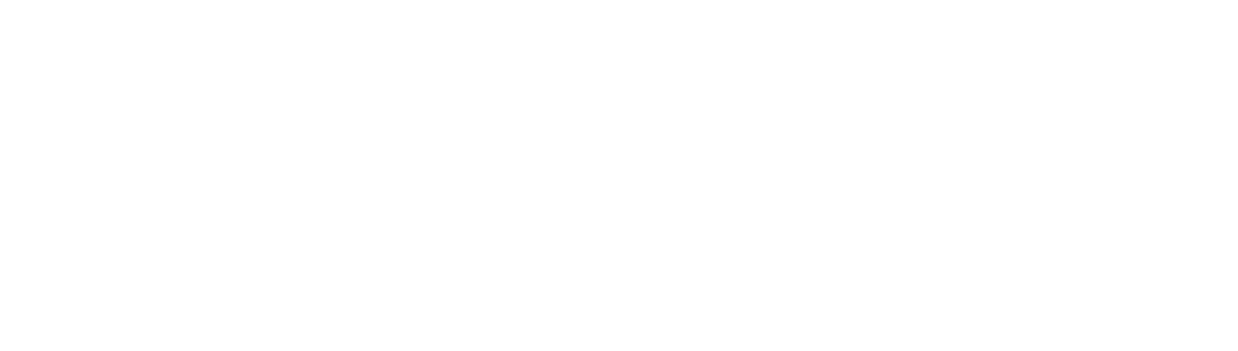 Logo RCMS